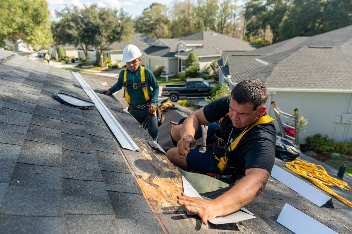 Roof Repair example 3